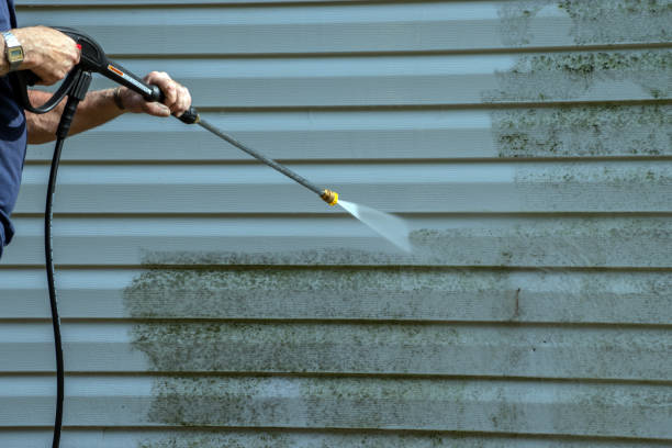 Best Roof Washing  in Roxana, IL